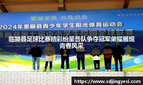 临颍县足球比赛精彩纷呈各队争夺冠军荣耀展现青春风采