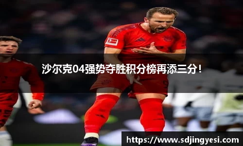 沙尔克04强势夺胜积分榜再添三分！