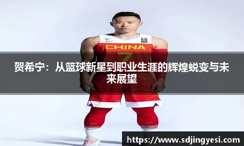 贺希宁：从篮球新星到职业生涯的辉煌蜕变与未来展望